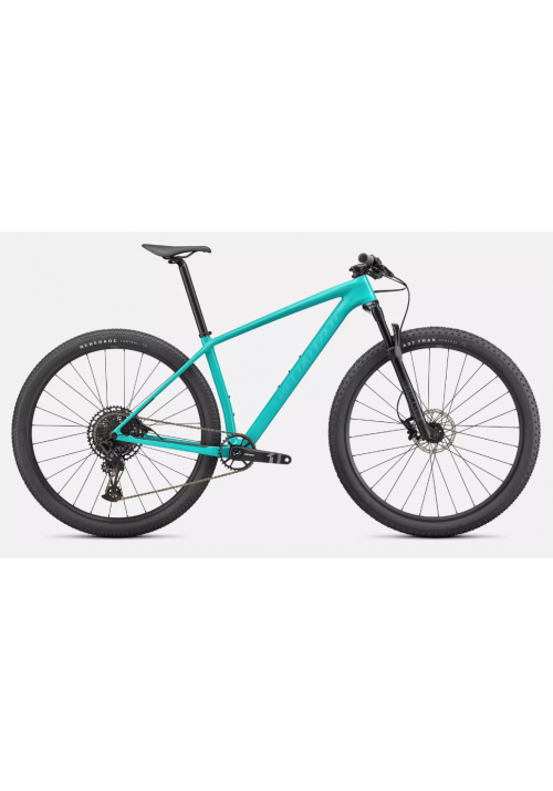 SPECIALIZED EPIC HARDTAIL
